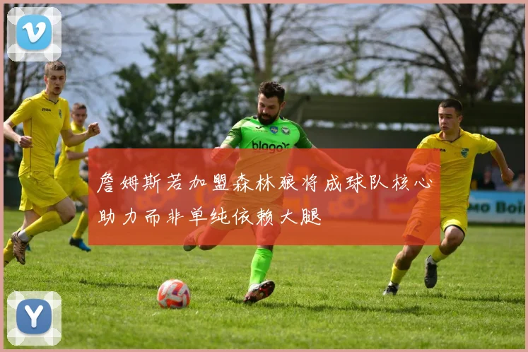 詹姆斯若加盟森林狼将成球队核心助力而非单纯依赖大腿