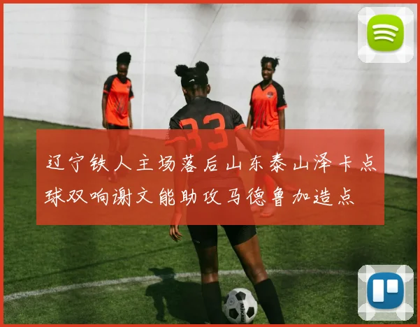 辽宁铁人主场落后山东泰山泽卡点球双响谢文能助攻马德鲁加造点